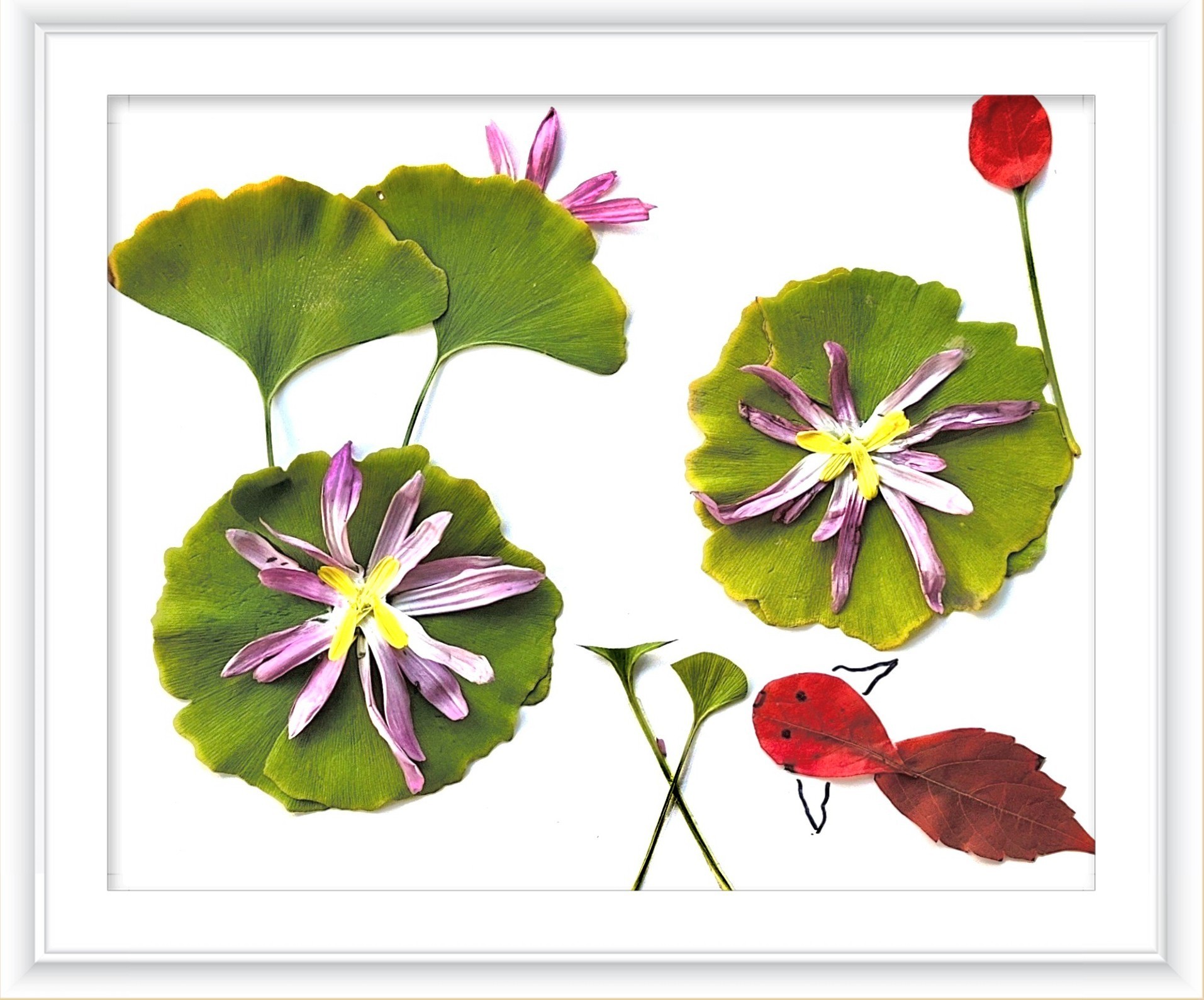 《一路清莲》作者：张颖蕊_副本.jpg